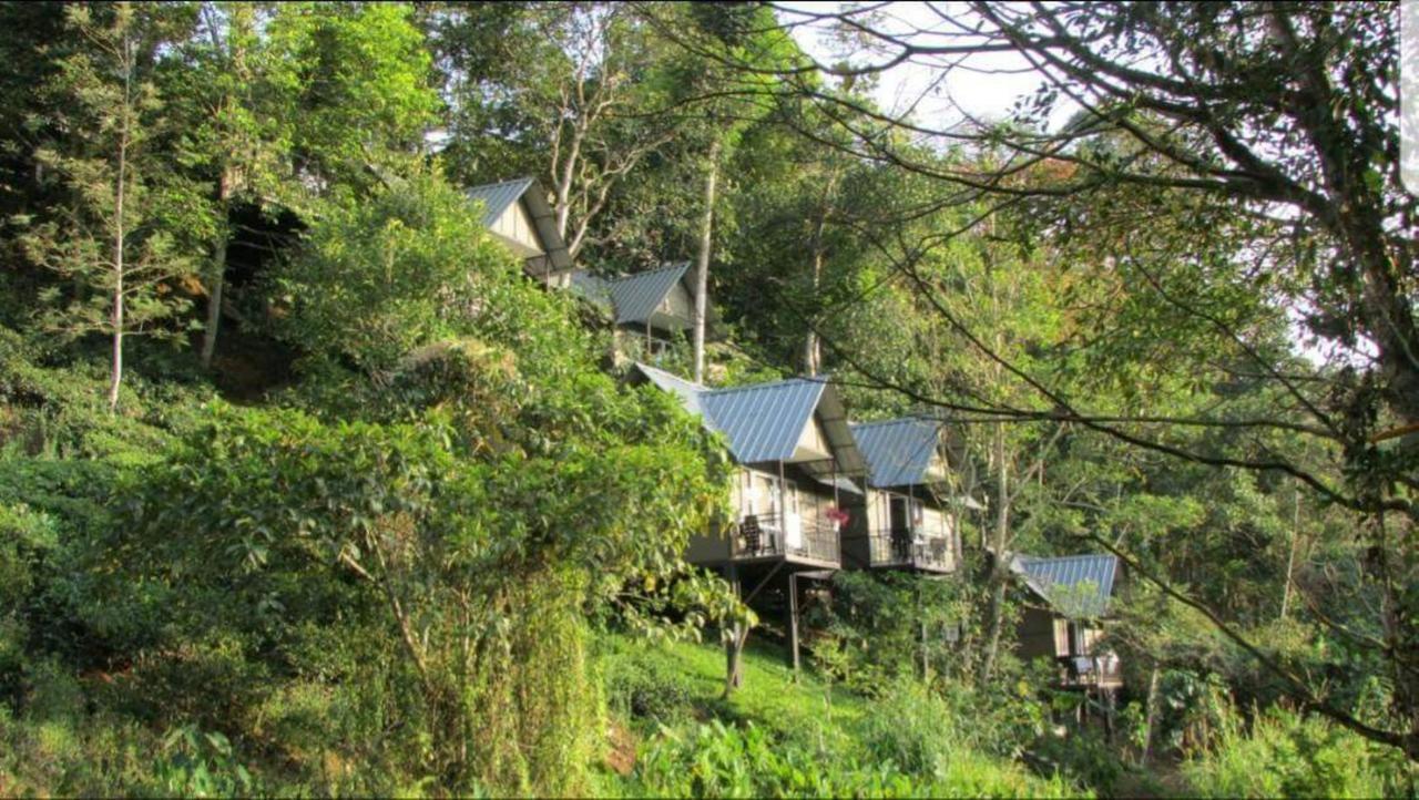 Moselberg Riverside Cottages Мунар Екстериор снимка