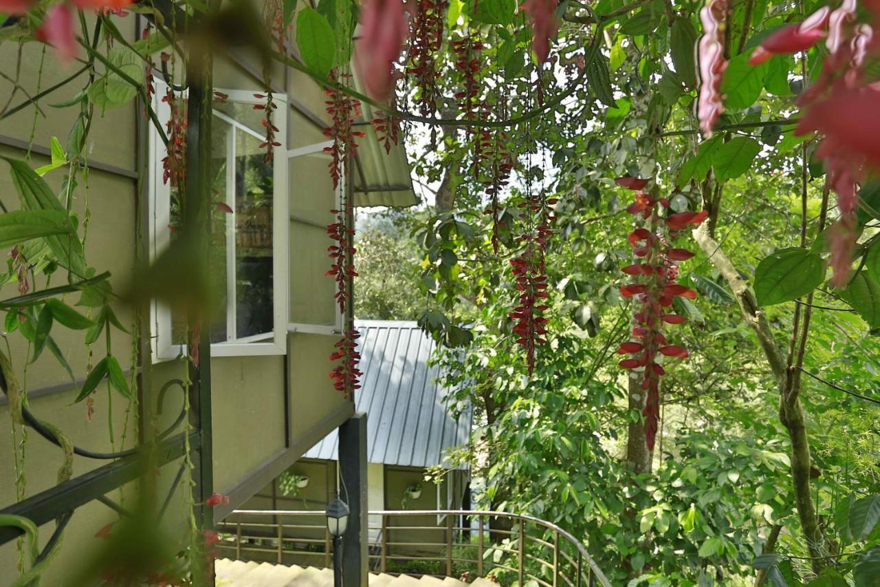 Moselberg Riverside Cottages Мунар Екстериор снимка